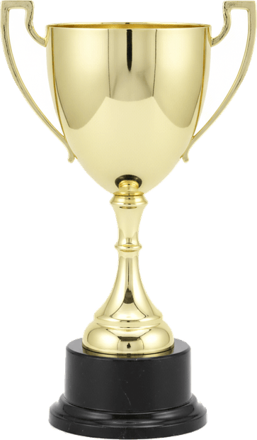 1st Place trophy